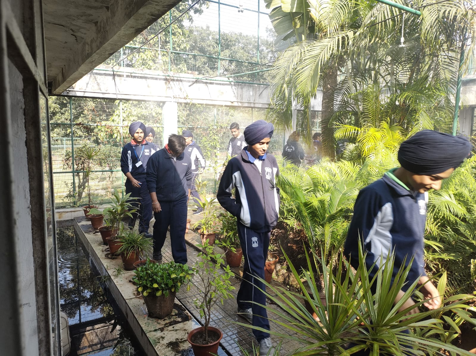 Field Visit to Punjabi University Botanical Gardens at Modern Senior Secondary School, Patiala - image 2