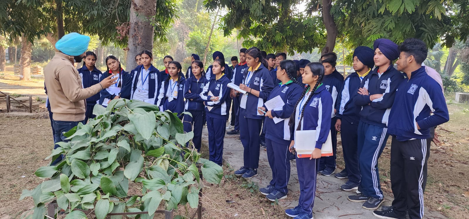 Field Visit to Punjabi University Botanical Gardens at Modern Senior Secondary School, Patiala - image 3