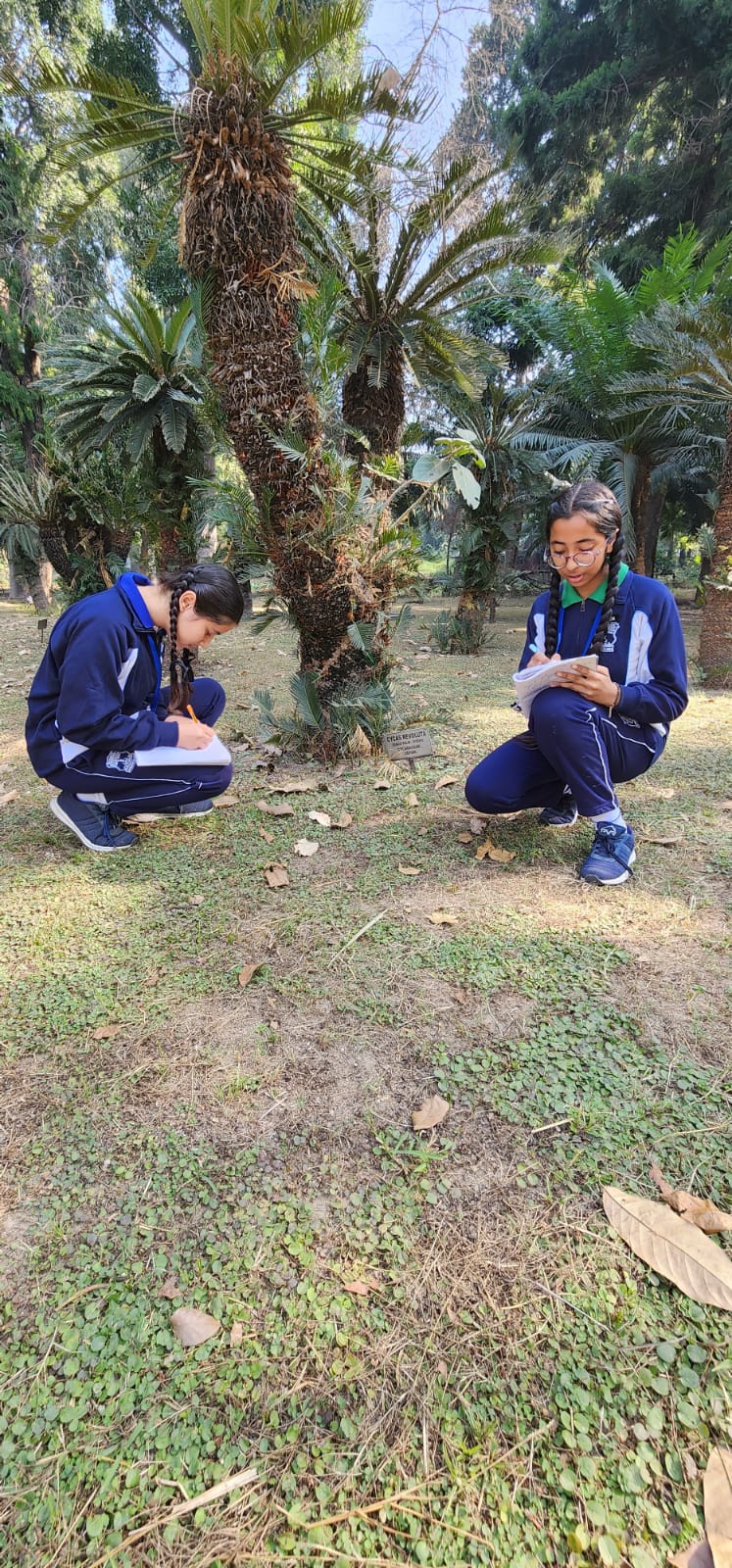 Field Visit to Punjabi University Botanical Gardens at Modern Senior Secondary School, Patiala - image 4